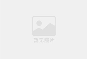 不锈钢丝网填料